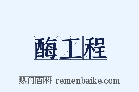 酶工程是什么意思的图片